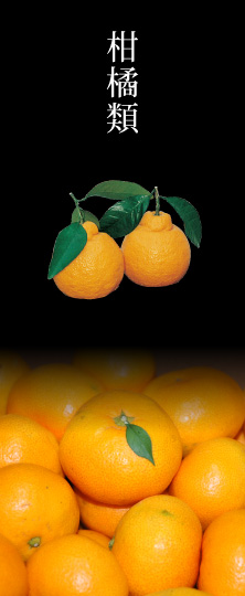 柑橘類
