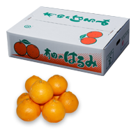 はるみ：三ツ橋農園