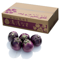 伝統野菜　湯浅なす：三ツ橋農園