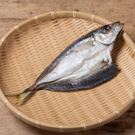 真アジ開き 大:魚義商店