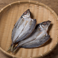 真アジ開き 中:魚義商店