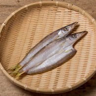 カマス開き:魚義商店