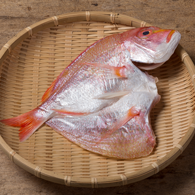 タイ開き:魚義商店