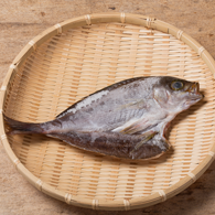 イサギ開き:魚義商店