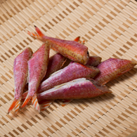 ヒメチ丸干し:魚義商店